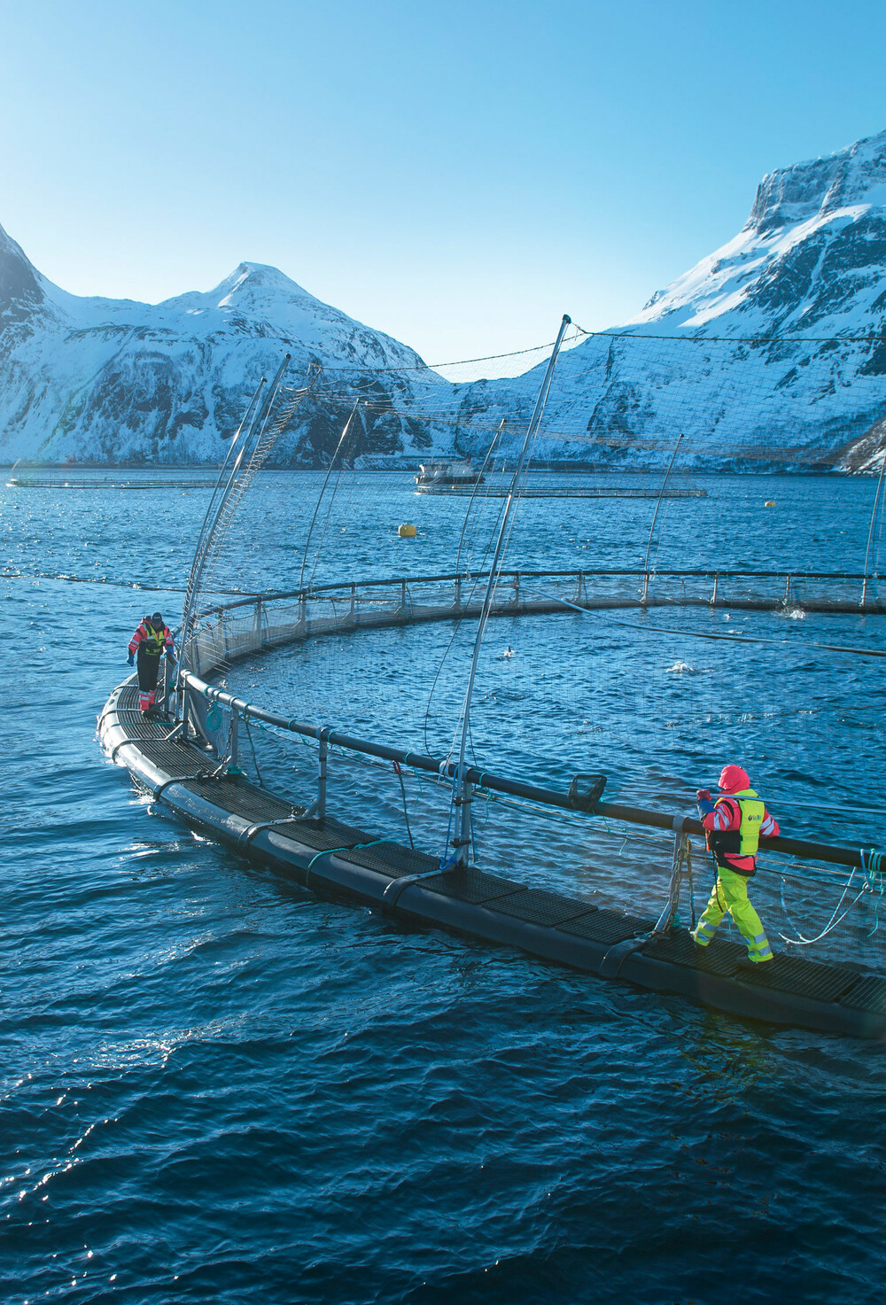 To fiskeoppdrettere inspiserer laksemerd i strålende vintervær.