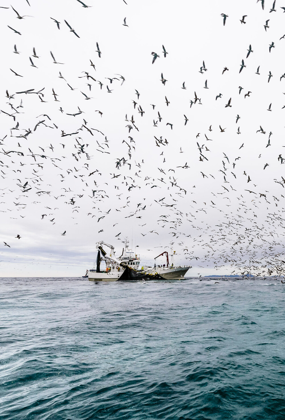 Havspeilet fisker 004 4x