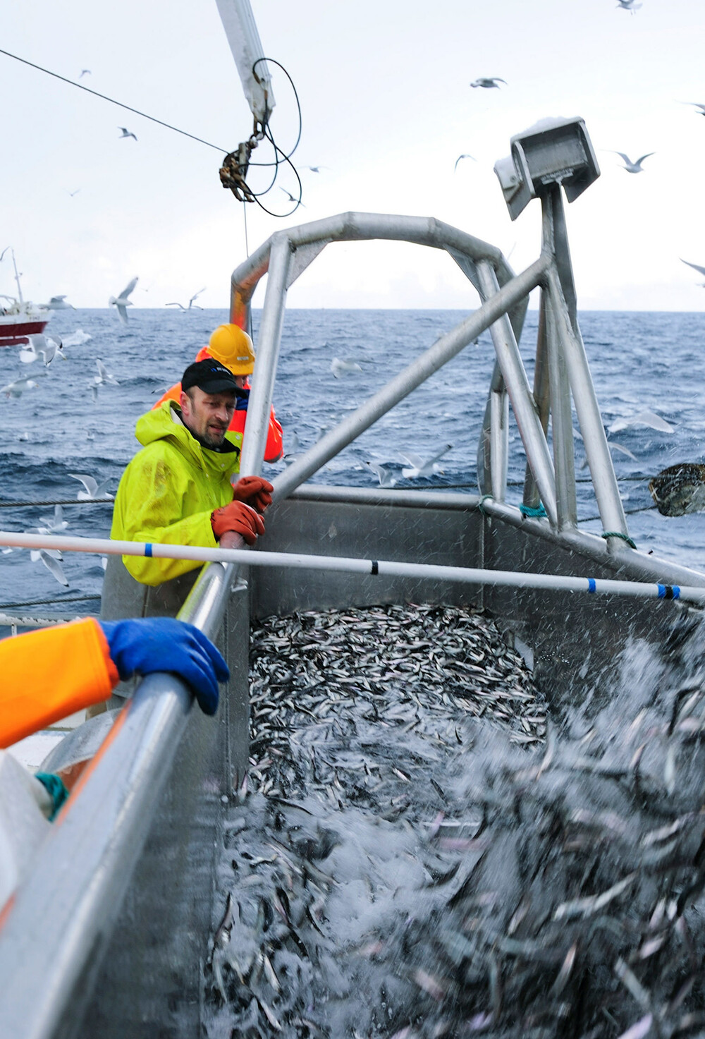Havspeilet fisker 005 4x